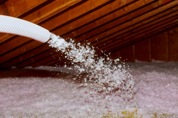 Best Cellulose Insulation in Linton Hall, VA