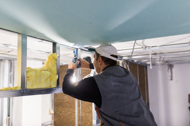 Types of Insulation We Offer in Linton Hall, VA