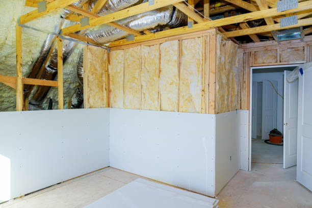 Best Insulation Maintenance and Repair in Linton Hall, VA